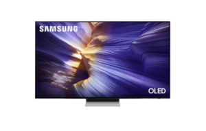 Телевизор Samsung QE65S90F